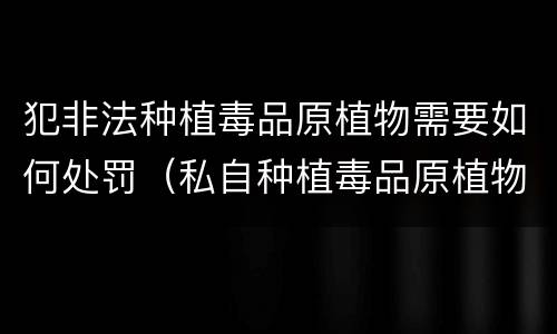 犯非法种植毒品原植物需要如何处罚（私自种植毒品原植物有什么罪?）