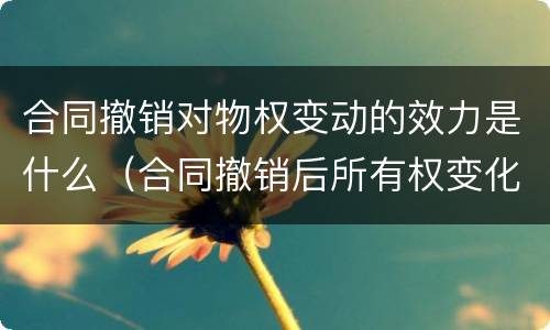 合同撤销对物权变动的效力是什么（合同撤销后所有权变化）