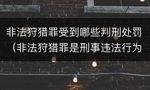 非法狩猎罪受到哪些判刑处罚（非法狩猎罪是刑事违法行为吗）