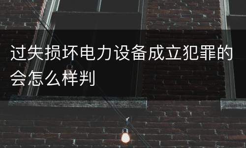 过失损坏电力设备成立犯罪的会怎么样判