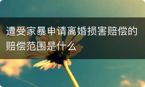 遭受家暴申请离婚损害赔偿的赔偿范围是什么