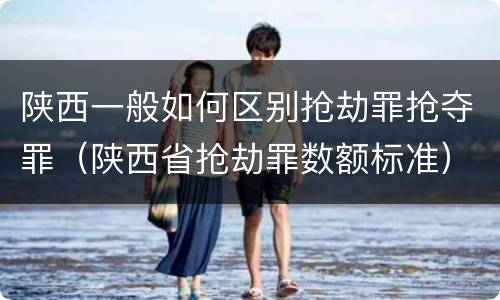 陕西一般如何区别抢劫罪抢夺罪（陕西省抢劫罪数额标准）