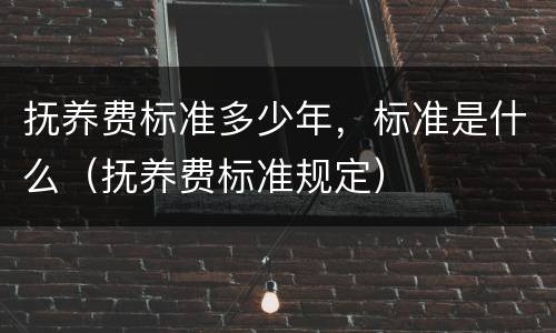 抚养费标准多少年，标准是什么（抚养费标准规定）