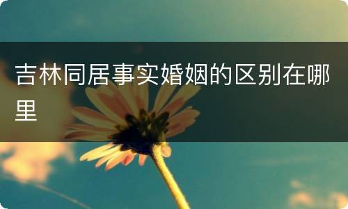 吉林同居事实婚姻的区别在哪里