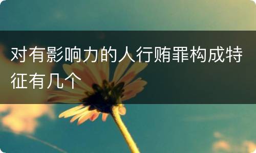 对有影响力的人行贿罪构成特征有几个