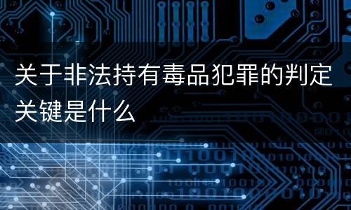 关于非法持有毒品犯罪的判定关键是什么