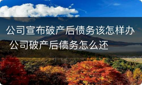 公司宣布破产后债务该怎样办 公司破产后债务怎么还