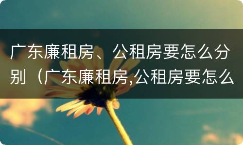 广东廉租房、公租房要怎么分别（广东廉租房,公租房要怎么分别申请）