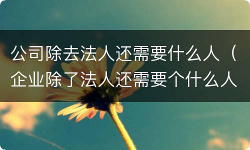 公司除去法人还需要什么人（企业除了法人还需要个什么人）