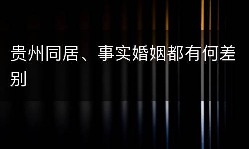 贵州同居、事实婚姻都有何差别