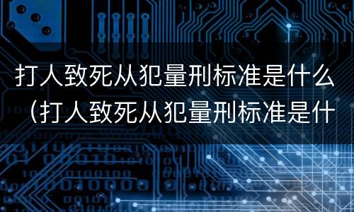 打人致死从犯量刑标准是什么（打人致死从犯量刑标准是什么意思）