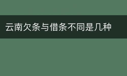 云南欠条与借条不同是几种