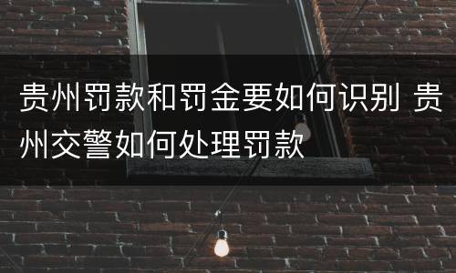 贵州罚款和罚金要如何识别 贵州交警如何处理罚款