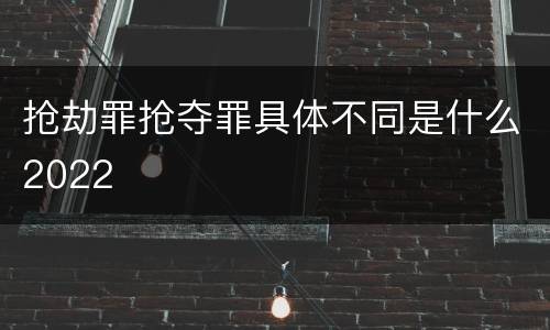 抢劫罪抢夺罪具体不同是什么2022
