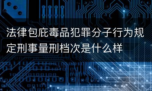 法律包庇毒品犯罪分子行为规定刑事量刑档次是什么样