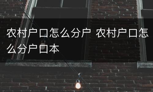 农村户口怎么分户 农村户口怎么分户口本