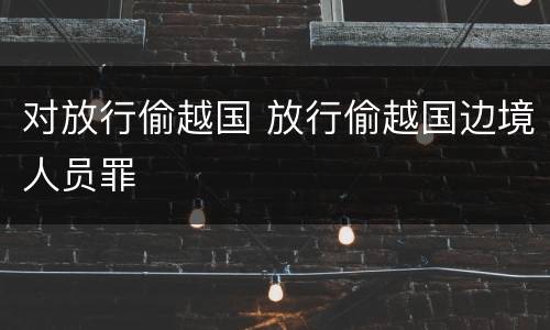 对放行偷越国 放行偷越国边境人员罪