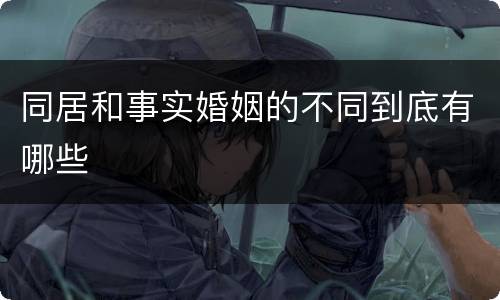 同居和事实婚姻的不同到底有哪些