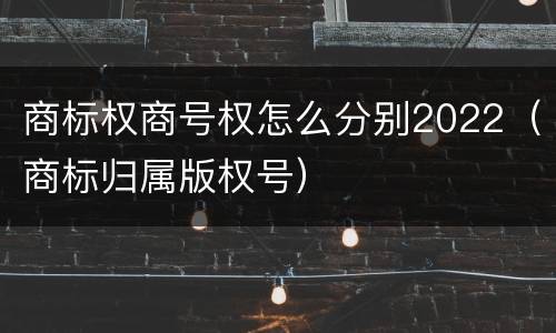 商标权商号权怎么分别2022（商标归属版权号）