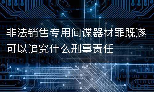 非法销售专用间谍器材罪既遂可以追究什么刑事责任