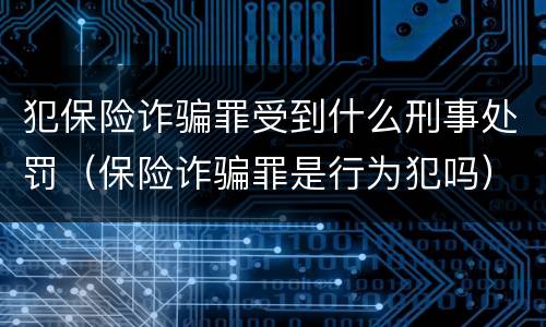 犯保险诈骗罪受到什么刑事处罚（保险诈骗罪是行为犯吗）