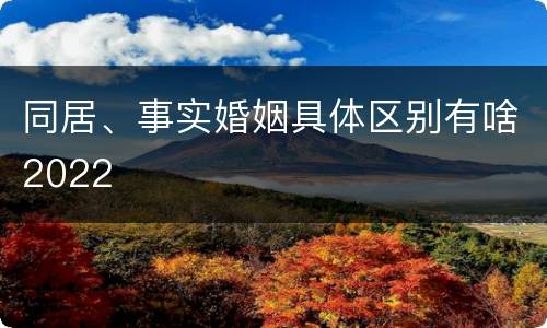 同居、事实婚姻具体区别有啥2022