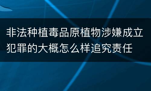 非法种植毒品原植物涉嫌成立犯罪的大概怎么样追究责任