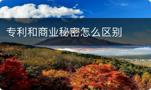 专利和商业秘密怎么区别