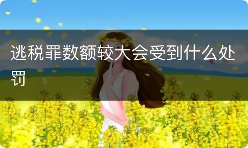 逃税罪数额较大会受到什么处罚