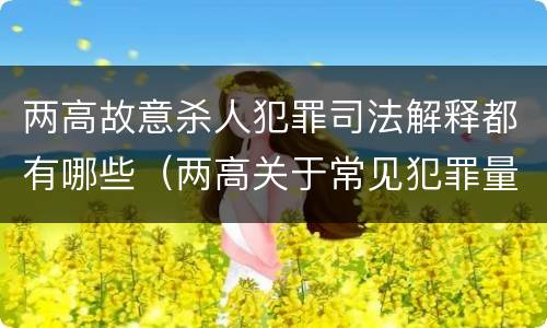 两高故意杀人犯罪司法解释都有哪些（两高关于常见犯罪量刑）