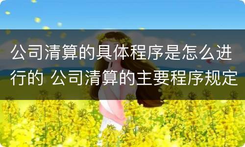 公司清算的具体程序是怎么进行的 公司清算的主要程序规定