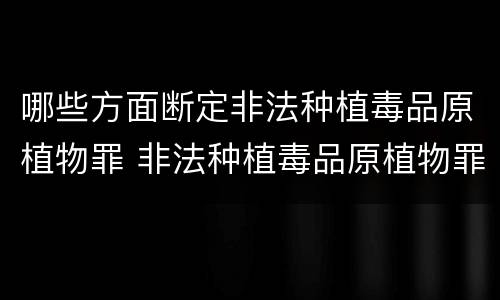哪些方面断定非法种植毒品原植物罪 非法种植毒品原植物罪情节严重的三种情形是什么