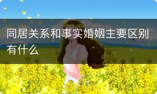 同居关系和事实婚姻主要区别有什么