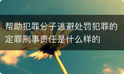 帮助犯罪分子逃避处罚犯罪的定罪刑事责任是什么样的