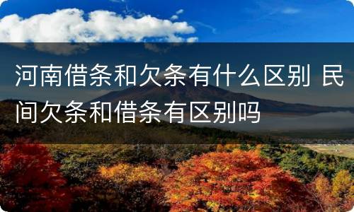 河南借条和欠条有什么区别 民间欠条和借条有区别吗