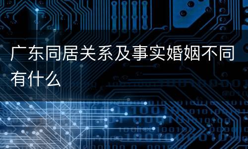 广东同居关系及事实婚姻不同有什么