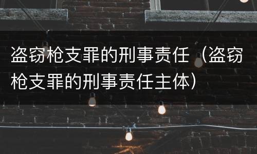 盗窃枪支罪的刑事责任（盗窃枪支罪的刑事责任主体）