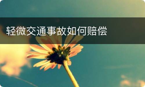 轻微交通事故如何赔偿