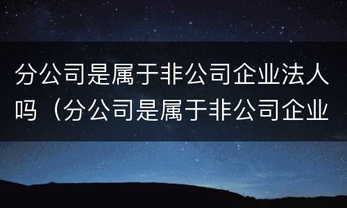 分公司是属于非公司企业法人吗（分公司是属于非公司企业法人吗）