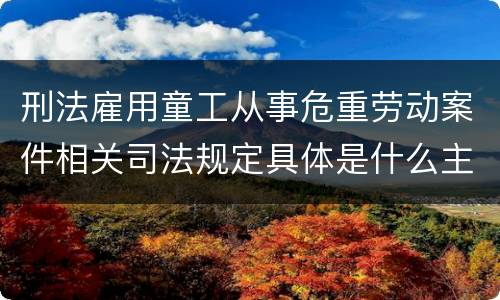 刑法雇用童工从事危重劳动案件相关司法规定具体是什么主要内容