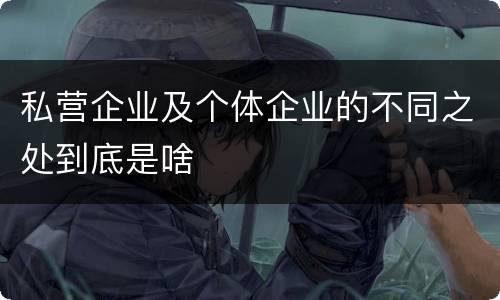 私营企业及个体企业的不同之处到底是啥