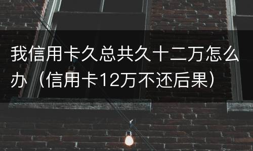 我信用卡久总共久十二万怎么办（信用卡12万不还后果）