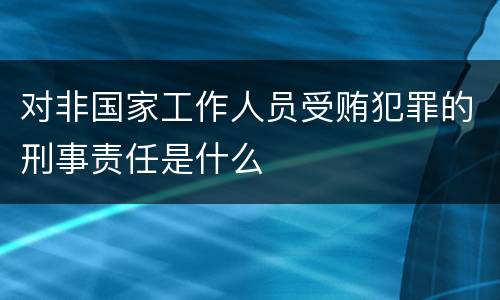 对非国家工作人员受贿犯罪的刑事责任是什么