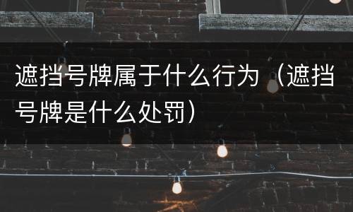 遮挡号牌属于什么行为（遮挡号牌是什么处罚）