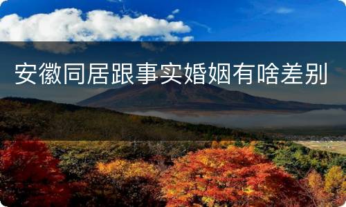 安徽同居跟事实婚姻有啥差别