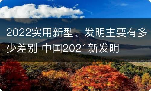 2022实用新型、发明主要有多少差别 中国2021新发明