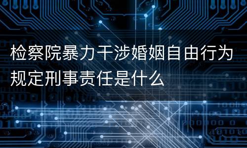 检察院暴力干涉婚姻自由行为规定刑事责任是什么