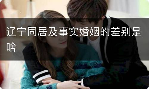 辽宁同居及事实婚姻的差别是啥