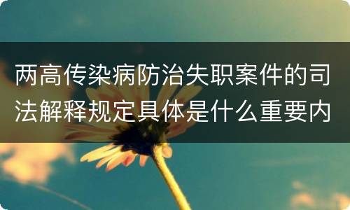 两高传染病防治失职案件的司法解释规定具体是什么重要内容