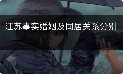江苏事实婚姻及同居关系分别
